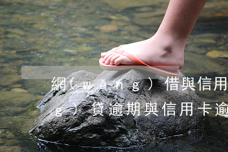 網(wǎng)借與信用卡逾期(網(wǎng)貸逾期與信用卡逾期的后果)