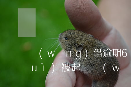 網(wǎng)借逾期6000多久會(huì)被起訴 網(wǎng)貸六千逾期一年會(huì)被起訴嗎