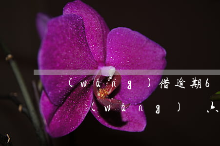 網(wǎng)借逾期6000多久會被起訴 網(wǎng)貸六千逾期一年會被起訴嗎