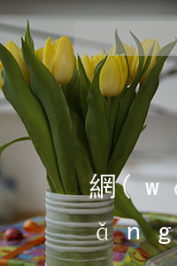 網(wǎng)友借錢不還在哪起訴(網(wǎng)友借錢不還起訴流程)