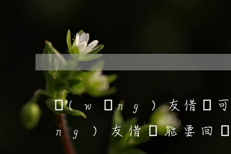 網(wǎng)友借錢可以起訴嗎(網(wǎng)友借錢能要回來(lái)嗎)