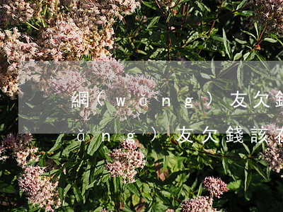 網(wǎng)友欠錢該在哪里起訴 網(wǎng)友欠錢該在哪里起訴