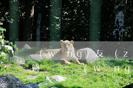 網(wǎng)友轉(zhuǎn)賬多少算詐騙(給網(wǎng)友轉(zhuǎn)賬四萬多算詐騙嗎)