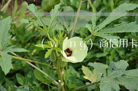 網(wǎng)商信用卡利息高嗎