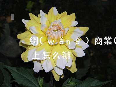 網(wǎng)商業(yè)貸款逾期還不上怎么辦