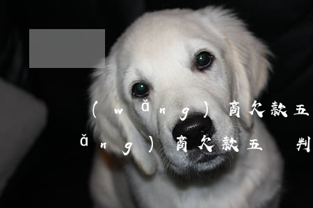 網(wǎng)商欠款五萬判多久-網(wǎng)商欠款五萬判多久刑