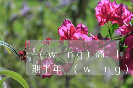 網(wǎng)商貸1.5萬(wàn)逾期半年(網(wǎng)商貸最多逾期多少天)