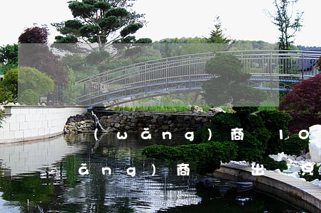 網(wǎng)商貸1000塊逾期(網(wǎng)商貸剛出來只有1000)
