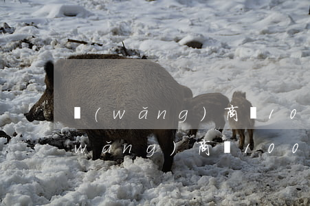 網(wǎng)商貸100萬逾期一年(網(wǎng)商貸100萬不還會有什么后果)