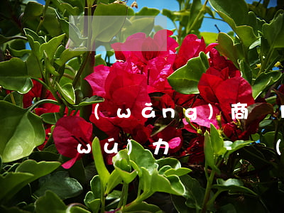 網(wǎng)商貸10萬(wàn)無(wú)力償還-網(wǎng)商貸10萬(wàn)還不上最終結(jié)果