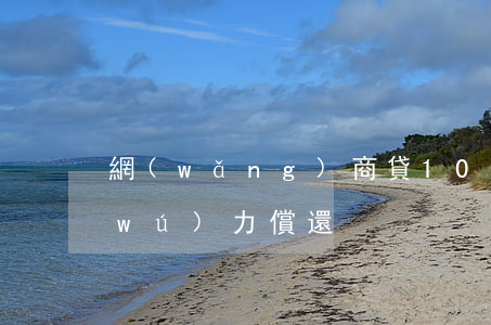 網(wǎng)商貸10萬(wàn)無(wú)力償還