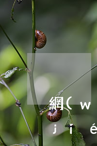 網(wǎng)商貸10萬還不上最終結(jié)果（網(wǎng)商貸借款10萬左右逾期會怎樣）