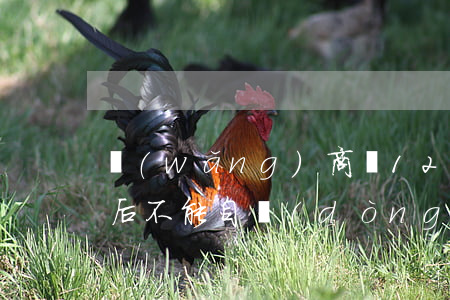 網(wǎng)商貸12點(diǎn)以后不能自動(dòng)還款-網(wǎng)商貸12點(diǎn)以后不能自動(dòng)還款嗎