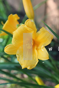網(wǎng)商貸16號還款短信通知幾號-網(wǎng)商貸16號還款短信通知幾號還款