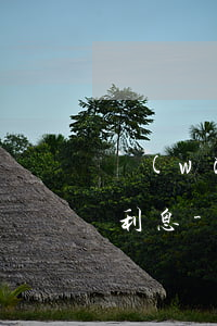 網(wǎng)商貸1萬逾期一個月要多少利息-網(wǎng)商貸1萬逾期一年