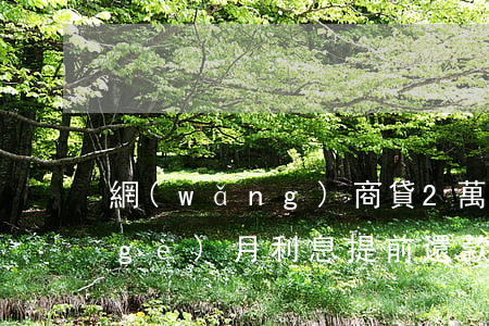網(wǎng)商貸2萬(wàn)六個(gè)月利息提前還款-網(wǎng)商貸一下提了20萬(wàn)
