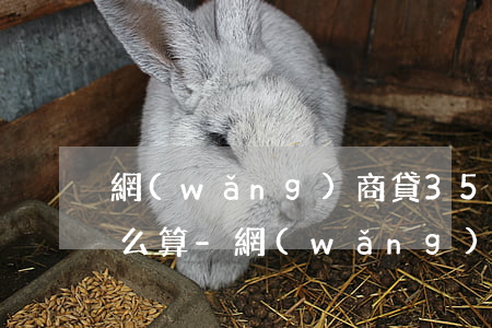 網(wǎng)商貸35000逾期利息怎么算-網(wǎng)商貸三萬(wàn)逾期300天