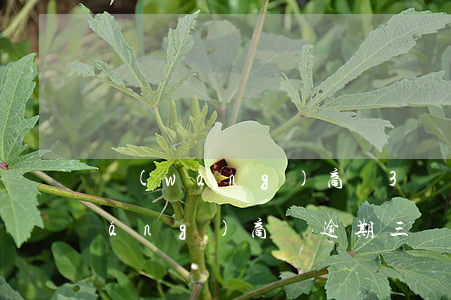 網(wǎng)商貸3萬逾期三個月(網(wǎng)商貸逾期三個月要求全部還清怎么辦)