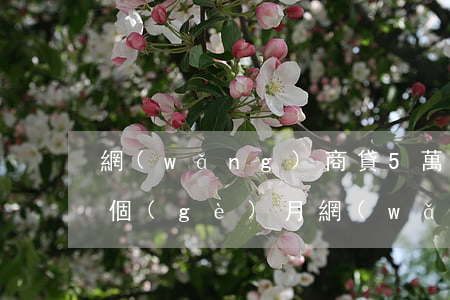 網(wǎng)商貸5萬(wàn)逾期三個(gè)月(網(wǎng)商貸欠款逾期兩萬(wàn)和欠款逾期三萬(wàn)的區(qū)別)