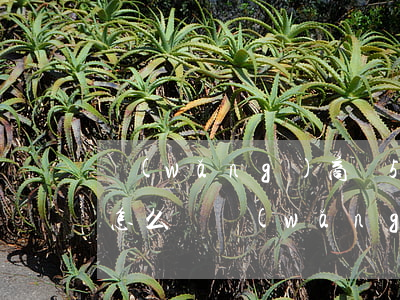 網(wǎng)商貸5萬不還會(huì)怎么樣(網(wǎng)商貸貸五萬會(huì)影響房貸么)