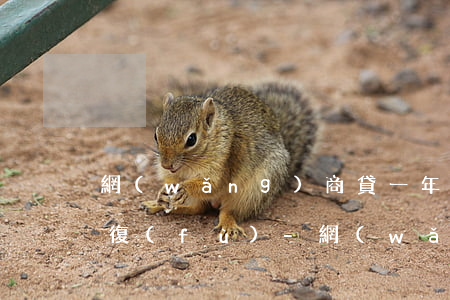 網(wǎng)商貸一年還款后額度多久恢復(fù)-網(wǎng)商貸一年還款后額度多久恢復(fù)正常
