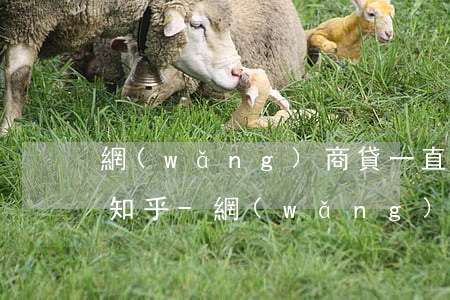 網(wǎng)商貸一直不還會影響生活嗎知乎-網(wǎng)商貸一直不還會影響生活嗎知乎