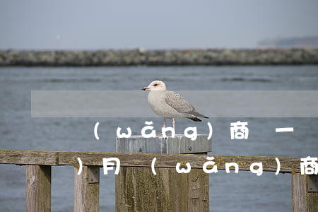 網(wǎng)商貸一萬元逾期一個(gè)月(網(wǎng)商貸逾期一年親身經(jīng)歷)