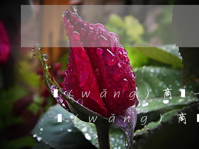 網(wǎng)商貸一萬多逾期多久會起訴(網(wǎng)商貸逾期一萬多,會被起訴嘛?)