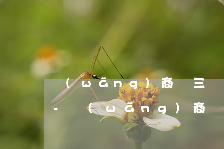 網(wǎng)商貸三萬不還會有什么后果-網(wǎng)商貸三萬不還會有什么后果嗎