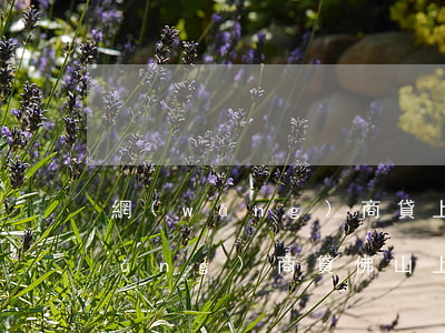 網(wǎng)商貸上門催收合法嗎（網(wǎng)商貸佛山上門催收）