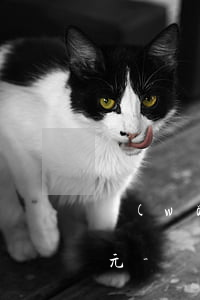 網(wǎng)商貸不到還款日為4366元-