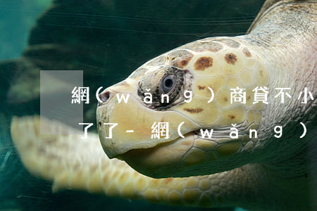 網(wǎng)商貸不小心逾期借唄也用不了了-網(wǎng)商貸不小心逾期借唄也用不了了怎么辦
