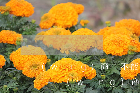 網(wǎng)商貸不能按時還款影響征信嗎-網(wǎng)商貸不能按時還款影響征信嗎怎么辦