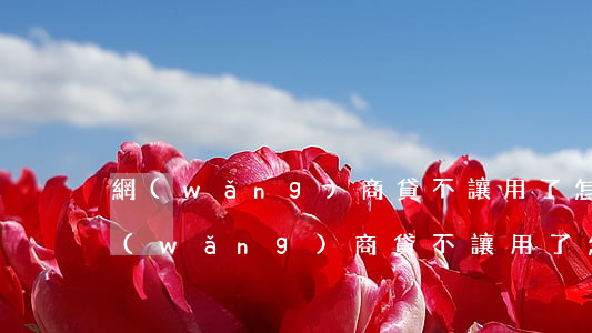 網(wǎng)商貸不讓用了怎么回事-網(wǎng)商貸不讓用了怎么回事兒