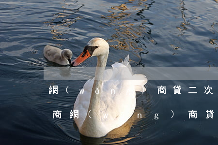 網(wǎng)商貸二次分期協(xié)商(網(wǎng)商貸二次借款)