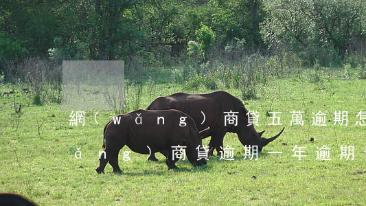 網(wǎng)商貸五萬逾期怎么辦(網(wǎng)商貸逾期一年逾期費)