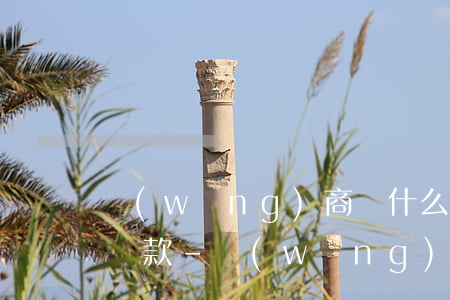 網(wǎng)商貸什么時候借才是下個月還款-網(wǎng)商貸什么時候借才是下個月還款呢