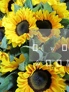 網(wǎng)商貸企業(yè)稅貸是怎么樣還款方式-網(wǎng)商貸企業(yè)稅貸是怎么樣還款方式的