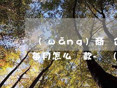 網(wǎng)商貸企業(yè)身份貸款每月怎么還款-網(wǎng)商貸企業(yè)身份貸款每月怎么還款的