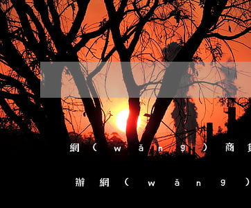 網(wǎng)商貸信用卡逾期還不上怎么辦(網(wǎng)商貸逾期了可以辦信用卡嗎)