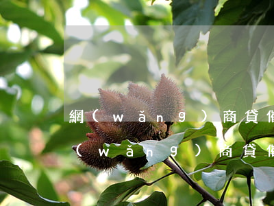 網(wǎng)商貸催收最怕不接電話-網(wǎng)商貸催收最怕不接電話怎么辦