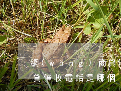 網(wǎng)商貸催收，網(wǎng)商貸催收電話是哪個