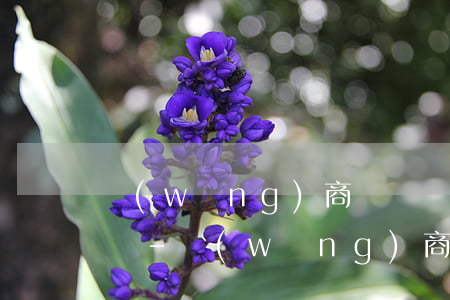 網(wǎng)商貸兩筆錢可以一次性還款嗎-網(wǎng)商貸兩筆錢可以一次性還款嗎安全嗎