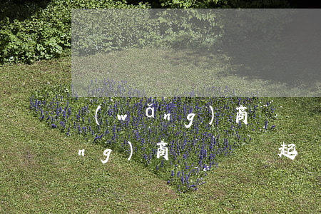 網(wǎng)商貸兩萬會起訴嘛(網(wǎng)商貸兩萬會起訴嘛知乎)