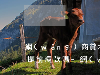 網(wǎng)商貸六個(gè)月的支持提前還款嗎-網(wǎng)商貸六個(gè)月的支持提前還款嗎安全嗎