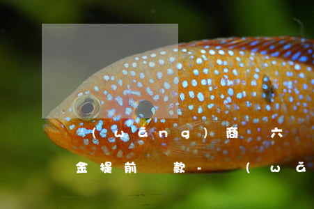 網(wǎng)商貸六個(gè)月等額本金提前還款-網(wǎng)商貸六個(gè)月等額本金提前還款可以嗎
