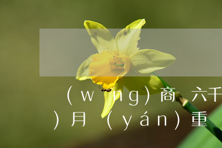 網(wǎng)商貸六千五逾期2個(gè)月嚴(yán)重嗎-網(wǎng)商貸5萬逾期半年怎么辦
