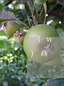 網(wǎng)商貸分兩次借(網(wǎng)商貸二次借款)