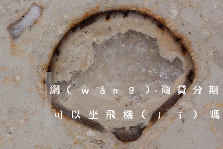 網(wǎng)商貸分期樂(lè)逾期的可以坐飛機(jī)嗎-分期樂(lè)嚴(yán)重逾期了可以坐飛機(jī)嗎?