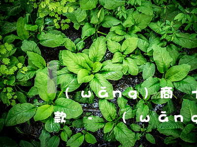 網(wǎng)商貸十二期必須每月都要還款嗎-網(wǎng)商貸十二期必須每月都要還款嗎安全嗎